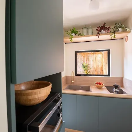 Trastevere Rooftop Terrace Courtyard Loft Apartment Rome