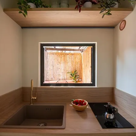 Trastevere Rooftop Terrace Courtyard Loft Apartment Rome